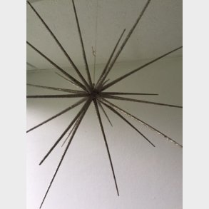 Stjerne champagne glitter - 55 cm