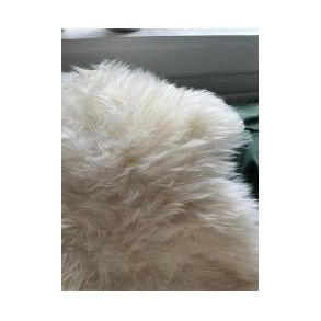 Lammeskind hvid 131-150 cm